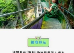 国产一级a片再引关注：多元题材下的行业新动向