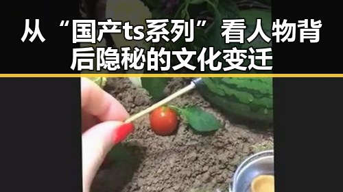 从“国产ts系列”看人物背后隐秘的文化变迁